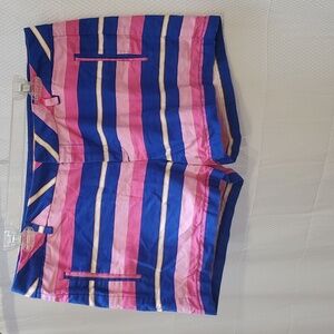 Stylus Striped Shorts